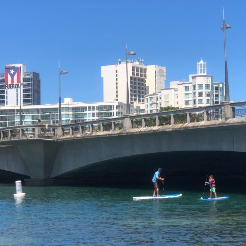 Meet your Posher, Irene
